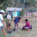 Nelayan Pacitan giatkan penanaman ratusan pohon cemara. 