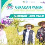 Gubernur Khofifah ketika memimpin panen dan percepatan tanam di Madiun.