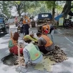 Petugas dari Dinas PU Bina Marga dan Bina Kontruksi Kabupaten Pasuruan saat membenahi jalan berlubang.