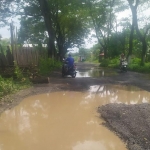Kondisi Jalan Raya Banyubiru di Kecamatan Grati dipenuhi kubangan air.