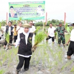 Gubernur Khofifah bersama Menteri Pertanian, Andi Amran Sulaiman, saat menanam padi di Tuban.