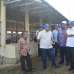 Menteri Pariwisata RI Arief Yahya saat melihat peternakan sapi di KEK Panceng. foto: SYUHUD/ BANGSAONLINE