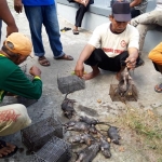 Hasil petani dalam menangkap dan membunuh tikus. foto: MUJI HARJITA/ BANGSAONLINE