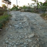 Kondisi jalan poros Desa Torjunan - Batuporo Barat yang memprihatinkan.