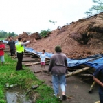 Kondisi kandang ayam yang rata dengan tanah setelah diterjang angin puting beliung.