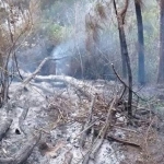 TRC BPBD Kota Batu masih menyisir titik api di Gunung Panderman.