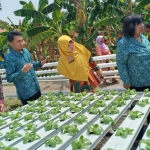 Nayla bersama Dr. Fitria saat meninjau sayuran hidroponik di Desa Panempan.