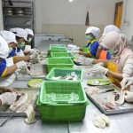 Proses pemisahan duri ikan bandeng oleh ibu-ibu di sekitar rumah produksi Bandeng Mentari. (foto: ist)