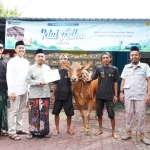 Salah satu sapi kurban PLN UP3 Madura