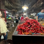 Harga cabai merah besar di Jatim hari ini merangkak. Foto: Sulthon/Bangsaonline.
