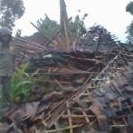 RATA DENGAN TANAH: Rumah pembudidaya jamur tiram di Desa Nglarangan Kecamatan Kanor hancur setelah diterjang angin puting beliung. foto: EKY NURHADI/ BANGSAONLINE