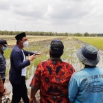 TAMPUNG ASPIRASI: Gus Muhdlor berdialog dengan petani di Desa Wonokarang Balongbendo, Selasa (20/10). foto: MUSTAIN/ BANGSAONLINE
