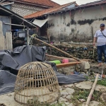Lokasi penggerebekan sabung ayah di Pamekasan. Foto: Ist.