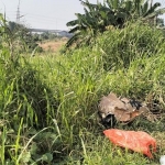Kondisi jasad ojol wanita saat ditemukan dipinggir jalan yang terbungkus plastik hitam dan kardus. Foto: Ist.