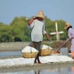 Petani garam Madura. Foto: dok