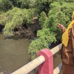 Kades Bulusari Hj Siti Nurhayati  bersama Tim Pemdes  mengecek sumber limbah yang sudah terjadi beberapa hari terakhir.