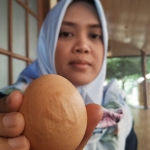 Risa Damayanti menunjukkan telur ayam berlafadz Allah yang ditemukannya.