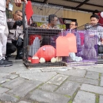 Ragam satwa liar dilindungi yang di miliki RC warga Krembung Sidoarjo yang diamankan polisi.