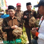 Bupati Tuban Fathul Huda ketika berbincang dengan petani kacang tanah.
