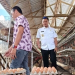 Wakil Bupati Blitar saat meninjau salah satu peternakan ayam.