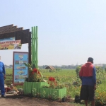 Program MTS di Kecamatan Beji.