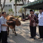 Bupati Sambari didampingi Wabup Qosim ketika menyerahkan hewan kurban. foto: SYUHUD/ BANGSAONLINE