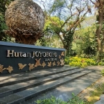 Hutan Joyoboyo dan suasana di dalamnya.