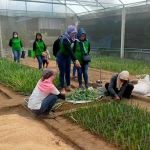 Tempat pembibitan dan pengembangan nanas PK-1 di Kecamatan Ngancar. Foto: Ist/ BANGSAONLINE.com