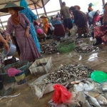 Suasana Pasar Ikan Lamongan.