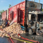 Petugas damkar melakukan pembasahan pada boks truk.