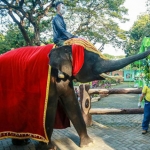 Wali Kota Surabaya Eri Cahyadi atau Cak Eri menjadi Orang Tua Asuh Satwa (OTAS) komodo dan gajah.