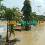 luapan Kali Lamong merendam Desa Karangsemanding, Kecamatan Balongpanggang, Gresik. Foto: SYUHUD/BANGSAONLINE
