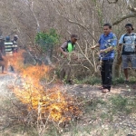 Petani membakar ranting tanaman mangrove yang penuh ulat. foto: SYUHUD/ BANGSAONLINE