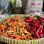Foto: Sulthon/Bangsaonline.