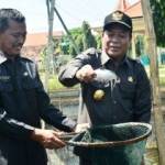 Bupati Fadeli saat melihat Ikan Patin yang baru berusia dua bulan. foto: haris/BANGSAONLINE
