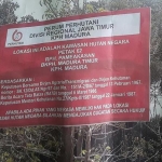 Lahan pohon mangrove yang diduga ditebang secara liar oleh oknum Kades. Di Desa Pandan Kecamatan Galis Kabupaten Pamekasan. 