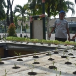 Penanaman sayur dengan sistem akuaponik di lahan belakang Makorem 084/BJ.