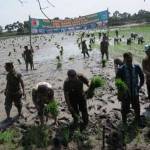 Dandim didampingi Danramil Babat, Pasi Ter Dim 0812 Lamongan dan Kabid Tanaman Pangan dan Holtikultural Distan Kab Lamongan, Camat Babat dan Masyarakat yang hadir langsung turun ke sawah untuk tanam padi.