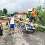 Petugas dibantu warga berupaya memotong pohon yang melintang di jalan dan menimpa sebuah becak.