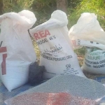 Pupuk bersubsidi yang dirasa mulai langka oleh petani.