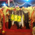 JUARA: Empat bandeng kawak yang mau dilelang diarak menuju panggung di alun-alun Sidoarjo, Rabu (6/12) malam. Foto: MUSTAIN/BANGSAONLINE