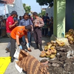 Petugas kepolisian dan Tim Inafis Polresta Sidoarjo yang tiba di lokasi langsung melakukan olah Tempat Kejadian Perkara (TKP). 