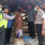 Kapolsek Ngrayun Iptu Suroso bersama anggotanya saat mengevakuasi jasad PN.