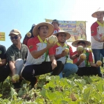 Bupati Lindra bersama Kepala Cabang Tuban PT RKM, L. Heru Imam Furi saat panen raya buah blewah di Desa Sembungrejo, Kecamatan Merakurak