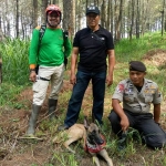Tim SAR terus melakukan pencarian korban di area hutan pinus di sekitar Jalibar Kota Batu.