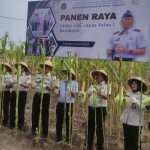 Kegiatan panen jagung serentak di lahan Lapas Porong