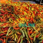 Kenaikan cabai rawit hari ini paling tinggi. Foto: Sulthon/BANGSAONLINE.