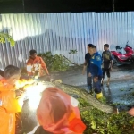 Petugas gabungan saat upaya evakuasi pohon tumbang yang menimpa mobil sedan Brio yang dikemudikan wanita asal Trenggalek