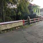  Petugas memantau debit air sungai Lamong yang kerap meluap akibat intensitas hujan yang tinggi. 