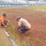 Kondisi stadion Pacitan. (ist).